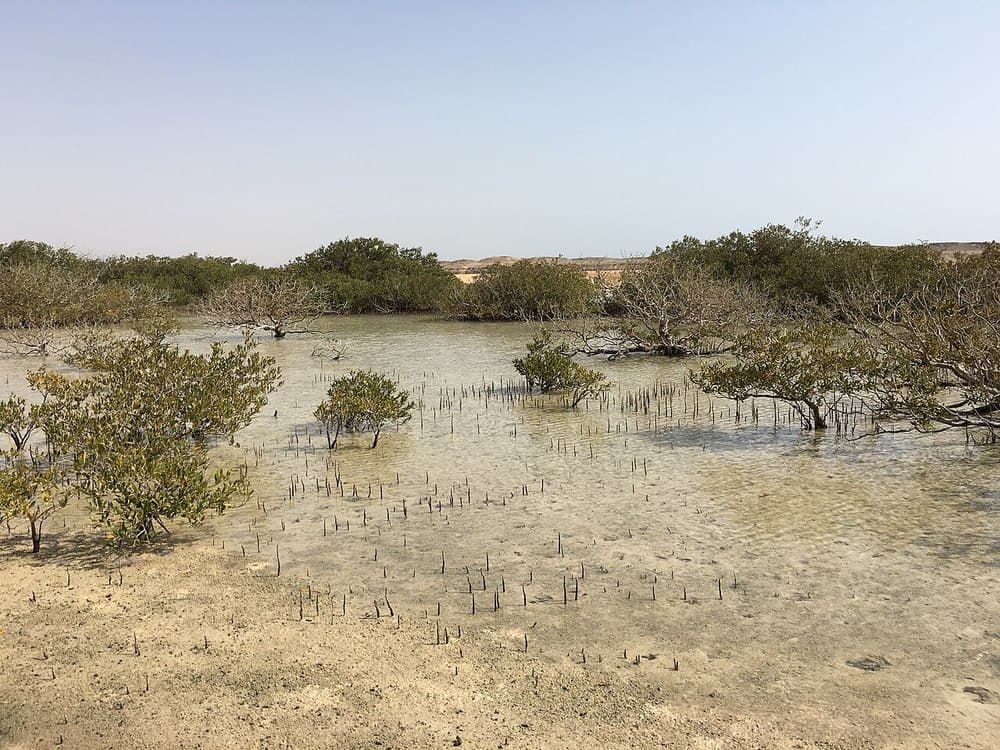 Mangroves, Magic Lake & Allah's Gate